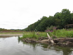 IMG 4417